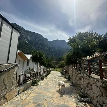 Gokdere Evleri Σπίτι διακοπών *